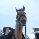 ���������� ������, ���� ����� ����, 24 ����, ������������ ��� ������, ����� � ���������