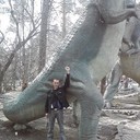 ���������� ������, ���� ������� �������, 38 ���, ������������ ��� ������, ����� � ���������, c�������� ���������, ���������