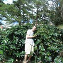 ���������� ����������, ���� ������� �����, 38 ���, ������������ ��� ������, ����� � ���������, c�������� ���������