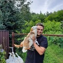 ���������� ������, ���� ������� ������, 44 ����, ������������ ��� ������, ����� � ���������