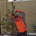 ���������� ��������, ���� ������� ������, 43 ����, ������������ ��� ������, ����� � ���������, c�������� ���������