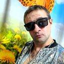  ,   Red Fox, 42 ,   ,   , c , 