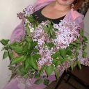  ,   Angelochek, 38 ,   ,   , c 
