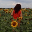 ���������� ������, ���� ������� ���������, 63 ����, ������������ ��� ����� � ���������, c�������� ���������