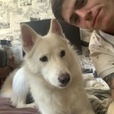 ���������� ������, ���� ������� ������, 27 ���, ������������ ��� ����� � ���������, c�������� ���������