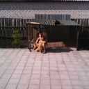  ,   , 33 ,   ,   , c , 