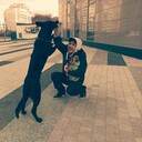 ���������� �����, ���� ������� ����, 38 ���, ������������ ��� ������, ����� � ���������, c�������� ���������, ���������