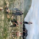 ���������� ���������, ���� ������� Rezik, 27 ���, ������������ ��� ������, ����� � ���������, c�������� ���������