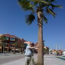 ���������� �����, ���� ������� Vaxa, 58 ���, ������������ ��� ������, ����� � ���������, c�������� ���������, ���������