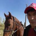 ���������� ������, ���� ������� ��������, 36 ���, ������������ ��� ������, ����� � ���������