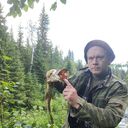 ���������� �����������, ���� ������� ������, 52 ����, ������������ ��� ������, ����� � ���������, c�������� ���������