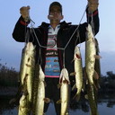 ���������� ���, ���� ������� ������, 49 ���, ������������ 