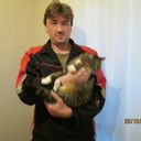 ���������� ����, ���� ������� ���������, 50 ���, ������������ 