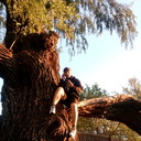 ���������� ��������, ���� ������� ������, 35 ���, ������������ ��� ������, ����� � ���������, c�������� ���������