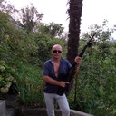  ,   , 46 ,  