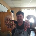 ���������� ������������, ���� ������� �������, 37 ���, ������������ ��� ������, ����� � ���������