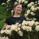 ���������� ����������, ���� ������� ���������, 33 ����, ������������ ��� ������, ����� � ���������