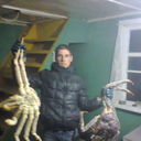   ,   , 33 ,   