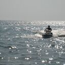 ���������� ����, ���� ������� �����, 41 ���, ������������ ��� ����� � ���������, c�������� ���������