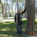   ,   , 61 ,   ,   