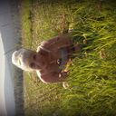 ���������� �������, ���� ������� ������, 48 ���, ������������ ��� ������, ����� � ���������, c�������� ���������