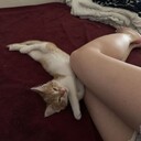 ���������� ������, ���� ������� �����, 37 ���, ������������ ��� ������, ����� � ���������, c�������� ���������