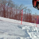 ���������� �������, ���� ������� �������, 43 ����, ������������ ��� c�������� ���������