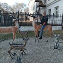 ���������� �����������, ���� ������� �������, 45 ���, ������������ ��� ������, ����� � ���������