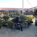 ���������� ���������, ���� ������� ����, 62 ����, ������������ ��� ������, ����� � ���������