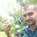 ���������� ������������, ���� ������� Ali, 41 ���, ������������ ��� ������, ����� � ���������, c�������� ���������