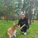 ���������� �����, ���� ������� ��������, 40 ���, ������������ ��� c�������� ���������