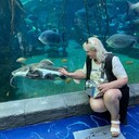 ���������� �������, ���� ������� ����, 58 ���, ������������ ��� ������, ����� � ���������