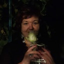  ,   , 54 ,  
