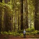 ���������� ������, ���� ������� Babken, 57 ���, ������������ ��� ������, ����� � ���������, c�������� ���������