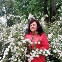  ,   , 49 ,     , c 