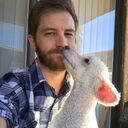 ���������� ������, ���� ������� ������, 37 ���, ������������ ��� ������, ����� � ���������, c�������� ���������