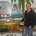   ,   , 42 ,   
