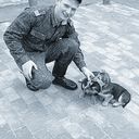 ���������� ������, ���� ������� Antoxa, 32 ����, ������������ ��� ����� � ���������, c�������� ���������