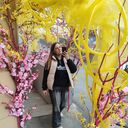 ���������� �����������, ���� ������� ���������, 34 ����, ������������ ��� ������, ����� � ���������