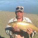  ,   , 62 ,   
