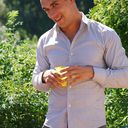 ���������� �����, ���� ������� Veg, 41 ���, ������������ ��� ������