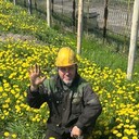 ���������� ������������, ���� ������� �����, 60 ���, ������������ ��� c�������� ���������