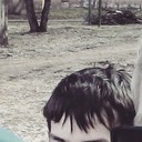 ���������� ����������, ���� ������� �����, 27 ���, ������������ ��� ������, ����� � ���������, c�������� ���������