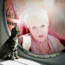 ���������� ������, ���� ������� �������, 69 ���, ������������ ��� ����� � ���������, c�������� ���������