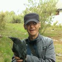  -,   , 51 ,   