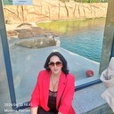 ���������� ������, ���� ������� �������, 45 ���, ������������ ��� c�������� ���������