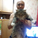  ,   , 56 ,   ,   , c 