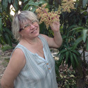  ,   , 61 ,   ,   , c 