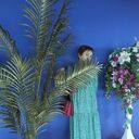 ���������� �����, ���� ������� �������, 63 ����, ������������ ��� ������, ����� � ���������