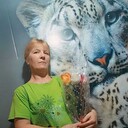  ,   , 52 ,   c , 